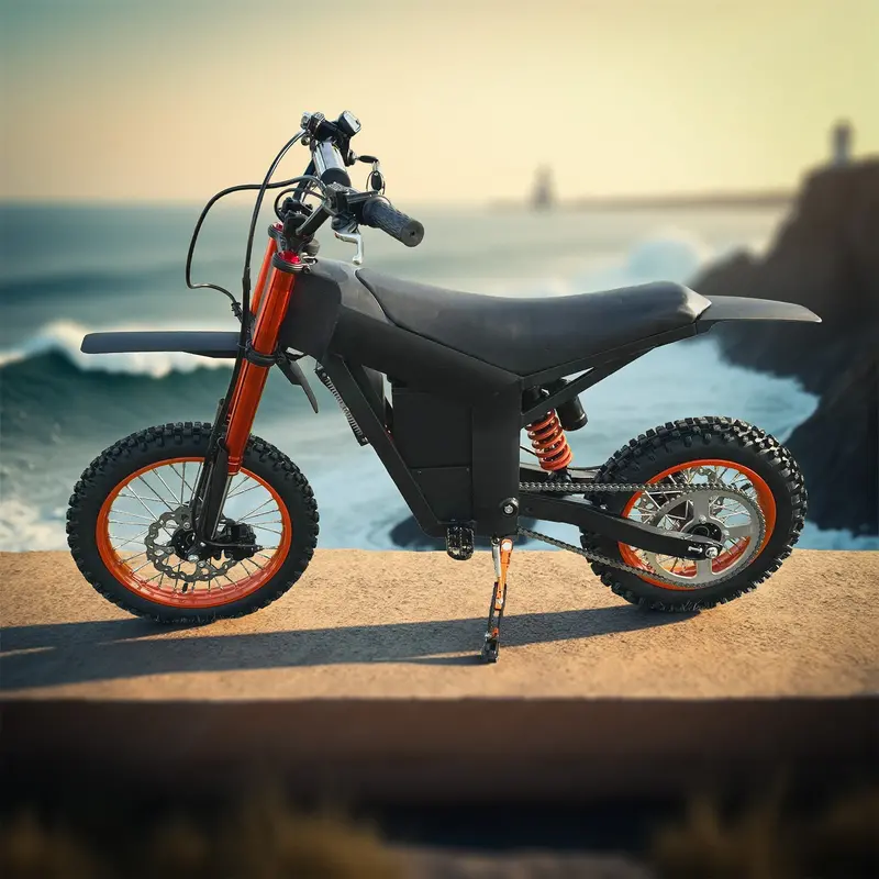1500W 48V/21Ah Electric Dirt Pit Bike | Onemx™ Ex3cb 3