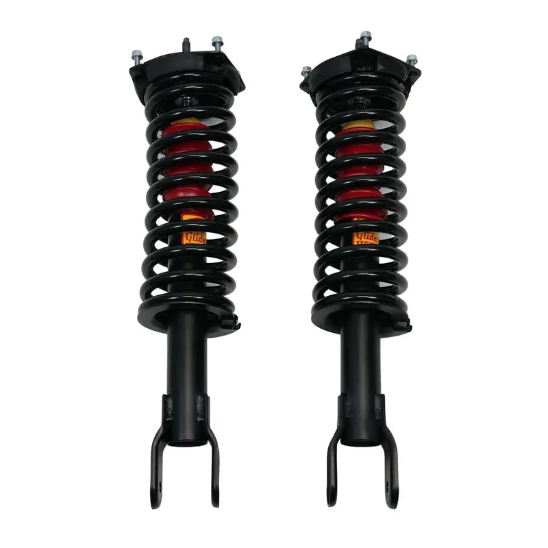 1993-1998 Lincoln Mark Viii (8) Front Air Suspension Conversion Kit (Fg1fb) 1