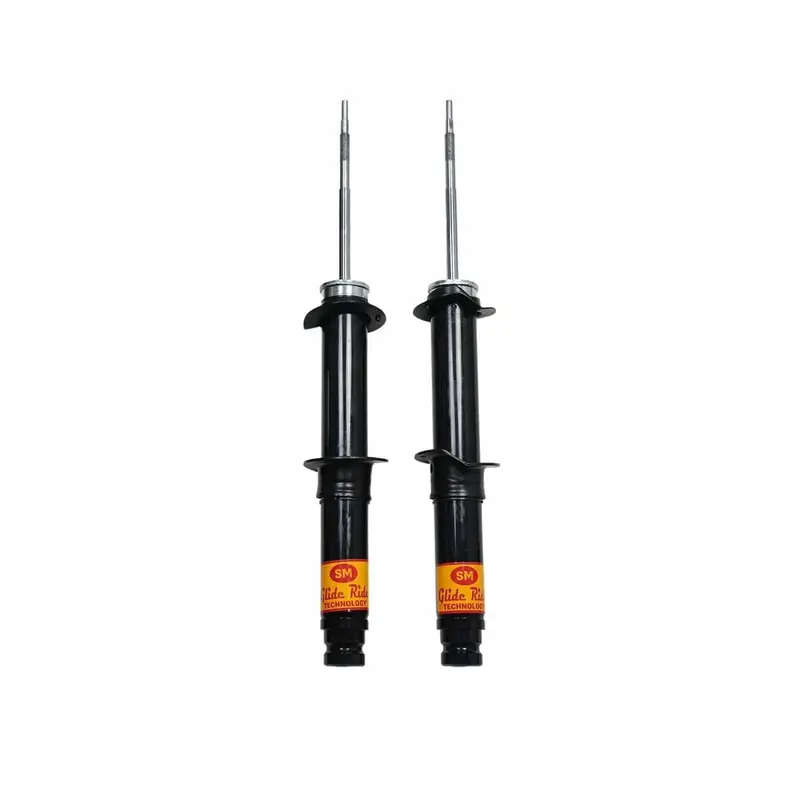 2004-2009 Cadillac Srx Front Magnetic Struts Oe Replacement Kit (Gx2fb) 1