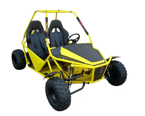 Batman 200Cc Go Kart 1