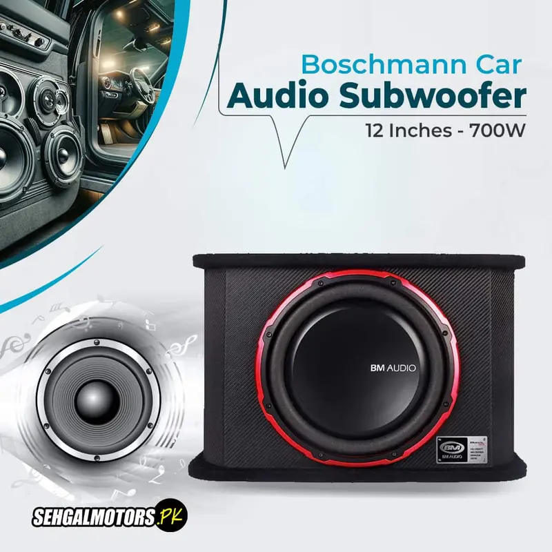 Boschmann Bw-1129Rs Car Audio Subwoofer 12 Inches - 700W 1