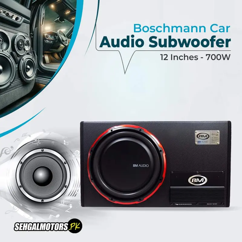 Boschmann Bw-S112ex Car Audio Subwoofer 12 Inches - 700W 1