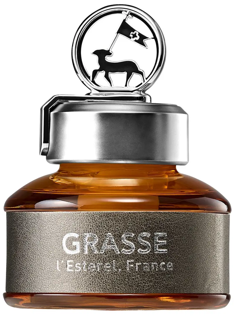 Bullsone Grasse Diffuser - Essential Oils, Air Freshener, Air Freshener For Homes & Cars Diffuser 13