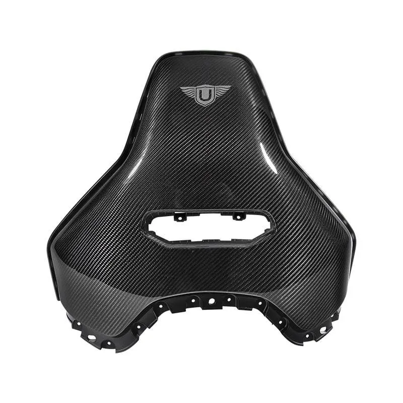 Carbon Fibre Seat Backs (L494 Svr 2018-) 2