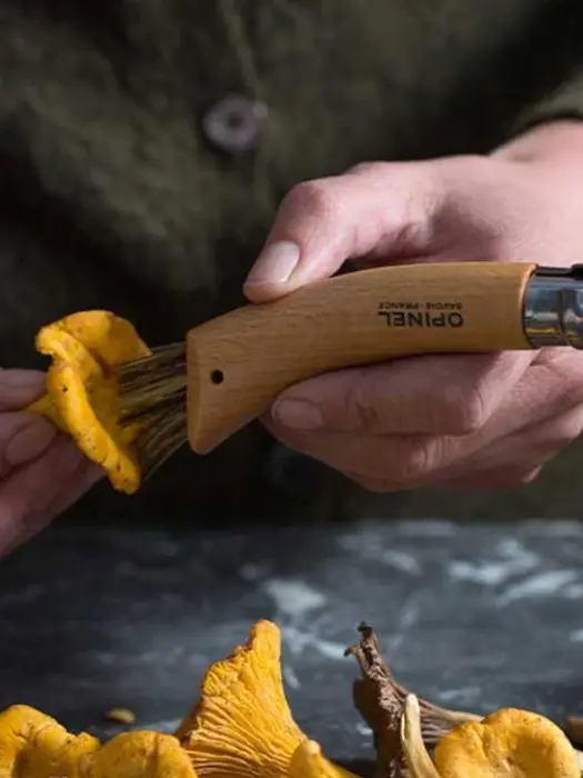 Couteau À Champignon- Opinel 1