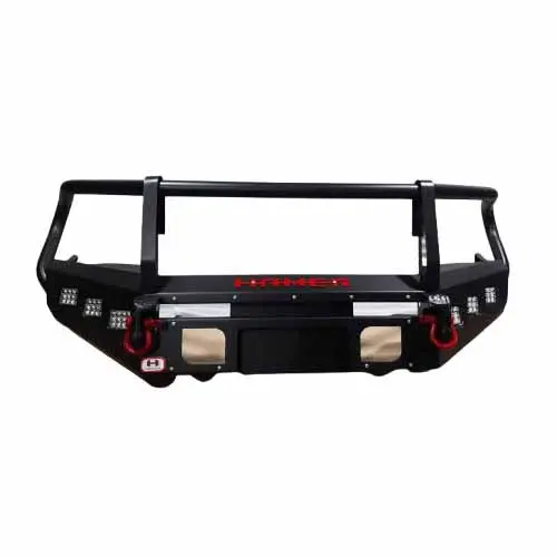 Custom Hamer Full Bull Bar 2