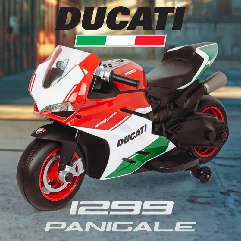 Ducati 1299 Panigale 12V Motorbike 2