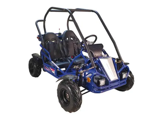 Gk125 Go Magnum 125Cc Go Kart 2
