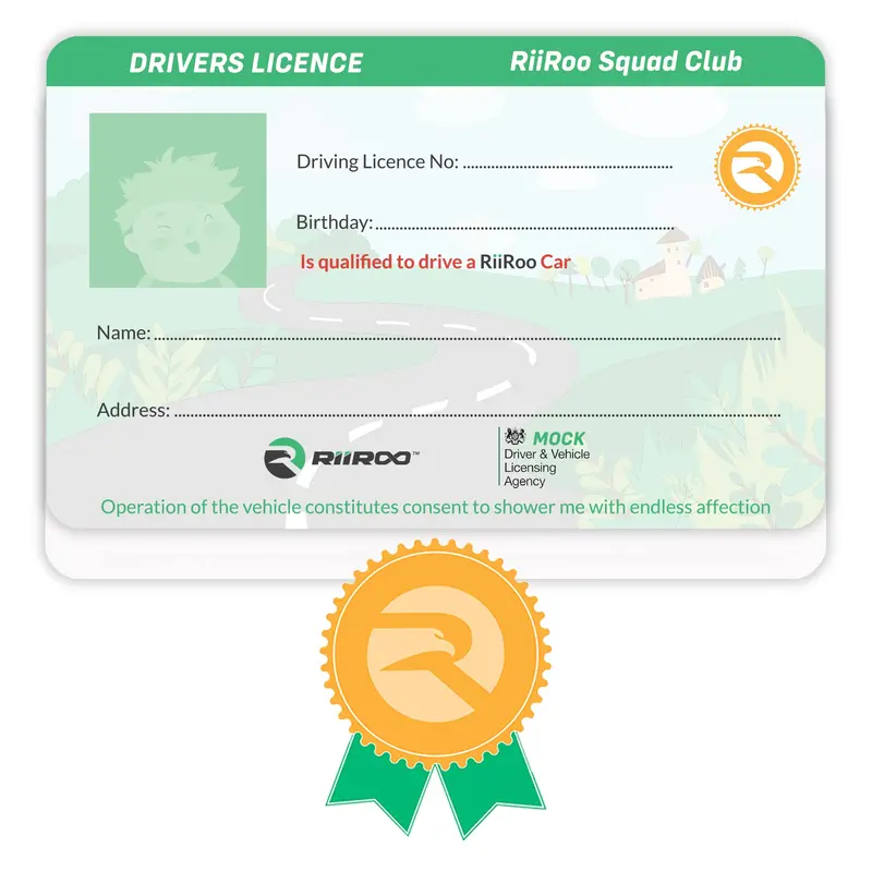 Kids Ride On Driving License 1