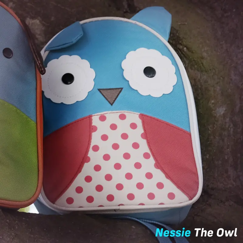Kids Scooter Lunch Bag Accessory - Nessie The Owl 2