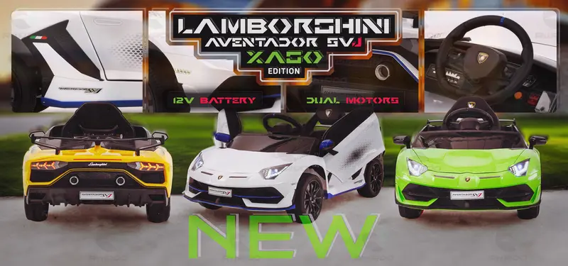 Lamborghini Aventador Xago Single Seater - Licensed 2