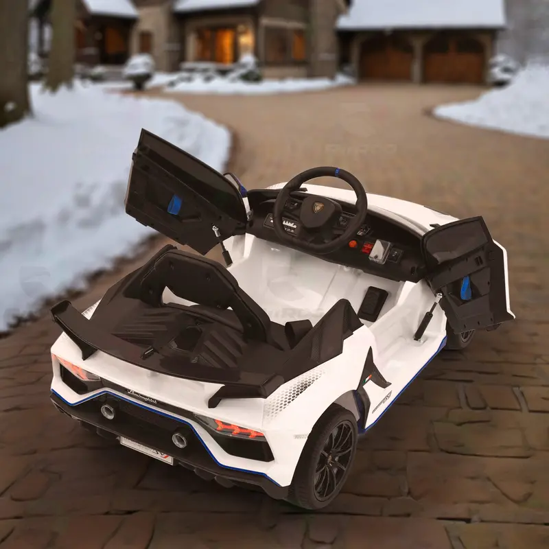 Lamborghini Aventador Xago Single Seater - Licensed 3