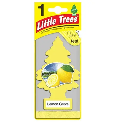 Little Tree Hanging Card Perfume 12
