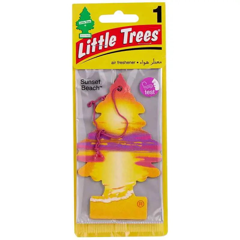 Little Tree Hanging Card Perfume 18