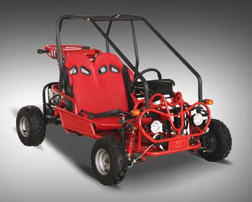 Mini Raptor 125Cc Go Kart 2