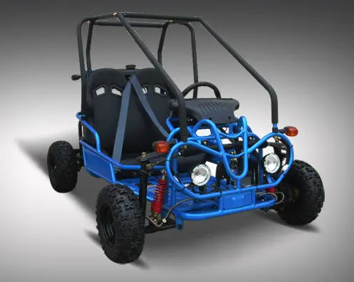 Mini Raptor 125Cc Go Kart 2