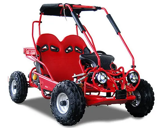 Mini Raptor 125Cc Go Kart 3
