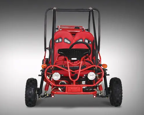 Mini Raptor 125Cc Go Kart 3