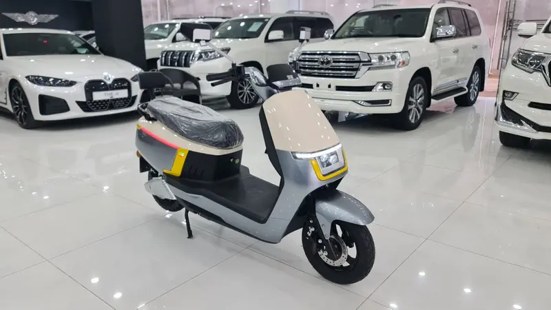 Motorsports E.V Scooter 2024 Fresh 1