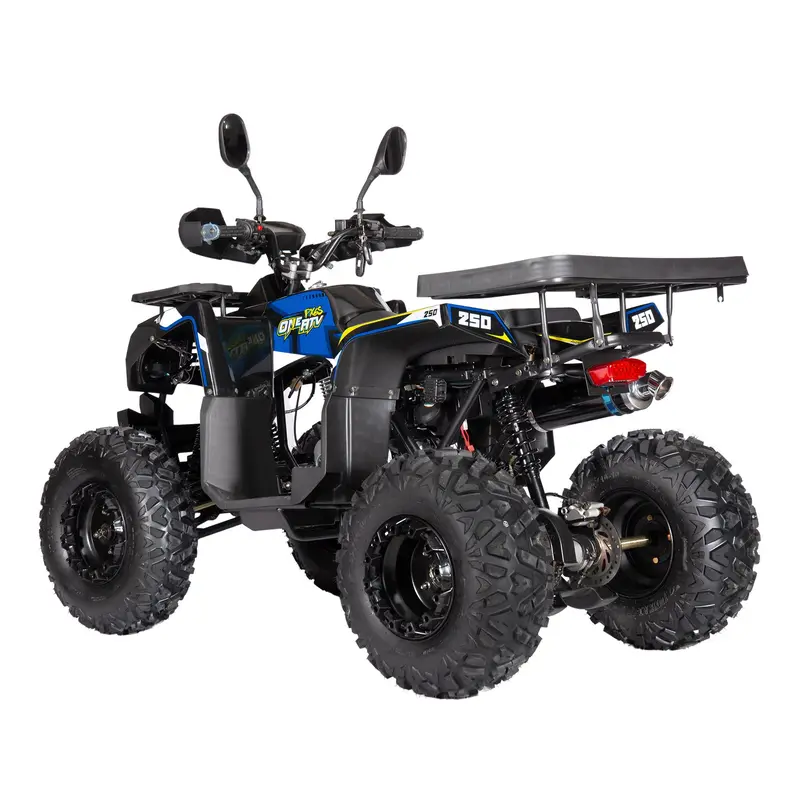Oneatv Px6s Quad Atv Bike 250Cc 4 Stroke Petrol Engine 2