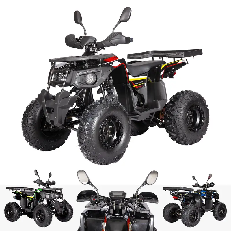 Oneatv Px6s Quad Atv Bike 250Cc 4 Stroke Petrol Engine 3
