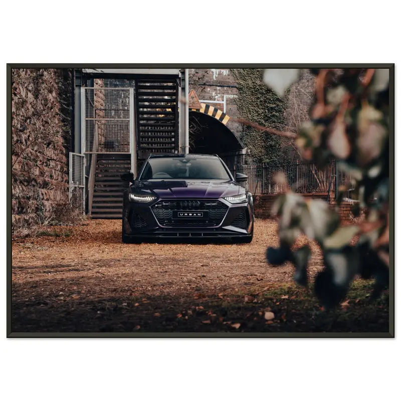 Premium Matte Paper Metal Framed Poster - Urban Rs6 Merlin Purple 4