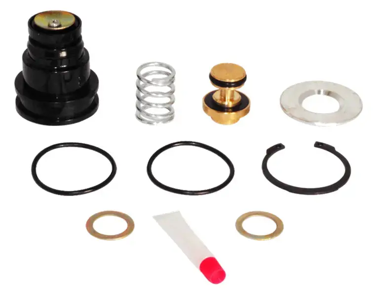 Purge Valve Kit S-18750 1