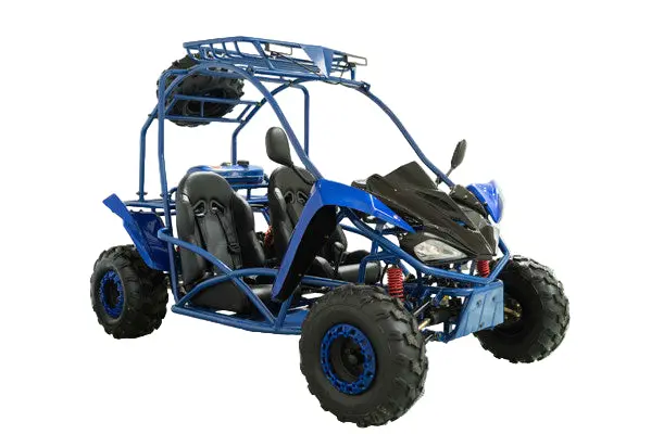 Rebel 150Cc Go Kart 1