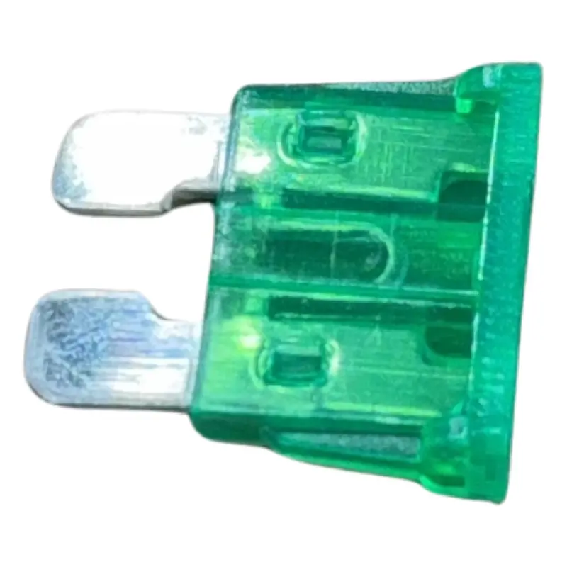 Replacement 30Amp Fuse For Electric Quads - 121-2946 1