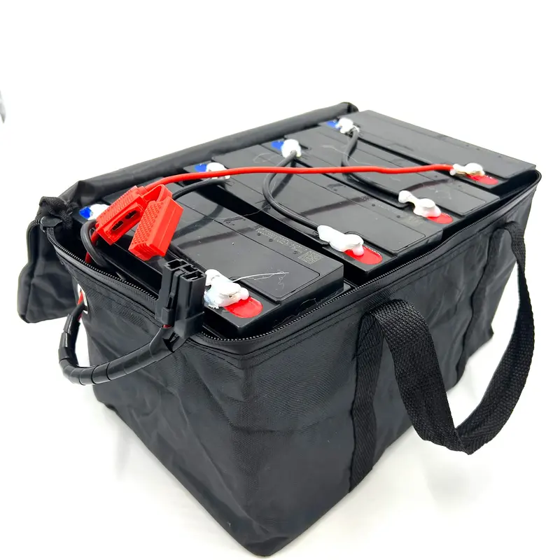 Replacement Battery For Kids Ride On's - Battery With Wires And Casing Complete - 48V-12V 20Ah - 102-693 1