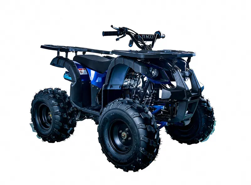Rider 10 125Cc Atv 1