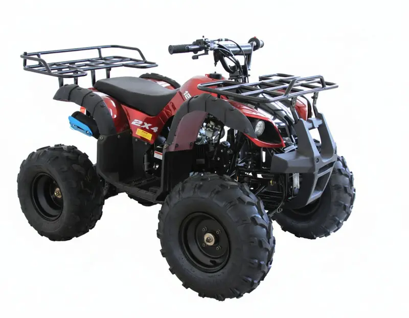 Rider 9 - 125Cc Atv 2
