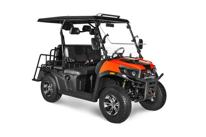 Rover 300 Efi Golf Cart 1