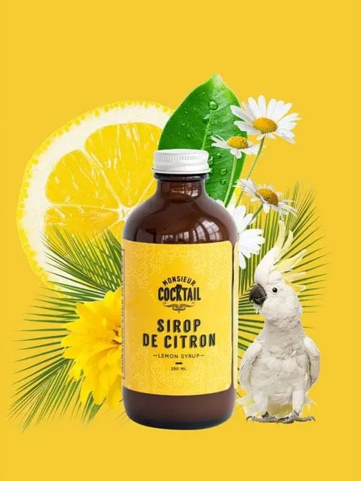 Sirop De Citron - Monsieur Cocktail 1
