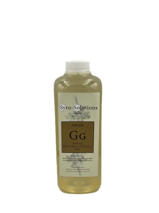 Sirop Gingembre 946Ml - Syro-Solutions 1