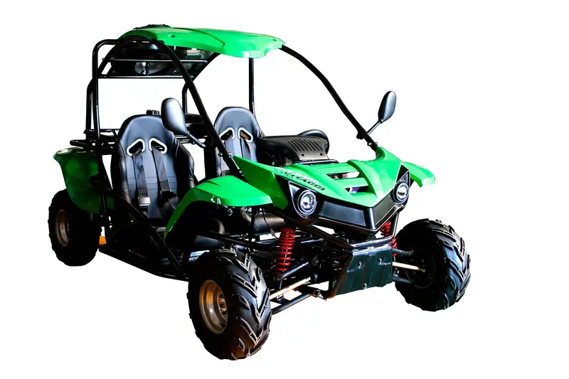 T-Rex 125Cc Go Kart 1