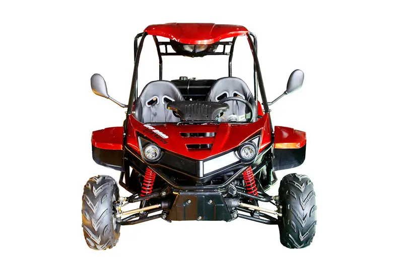 T-Rex 125Cc Go Kart 1