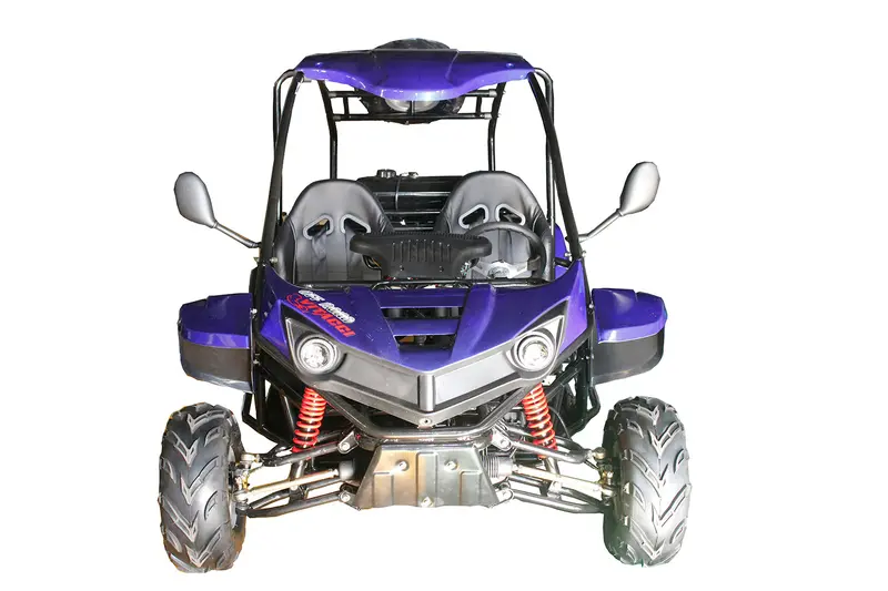 T-Rex 125Cc Go Kart 2