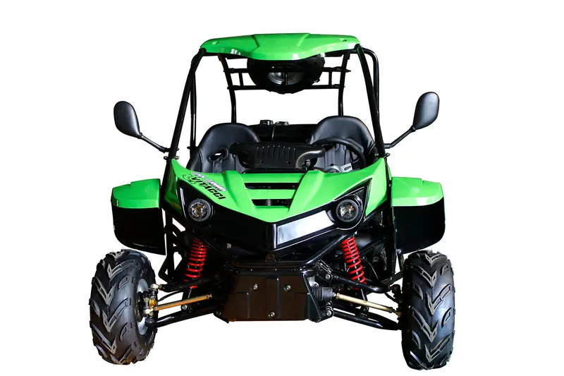 T-Rex 125Cc Go Kart 3