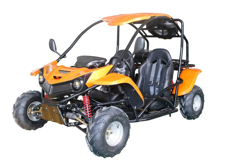T-Rex 125Cc Go Kart 3