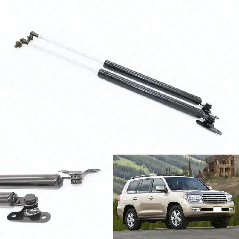Trunk Tailgate Dampers (Trunk Shocks) 1