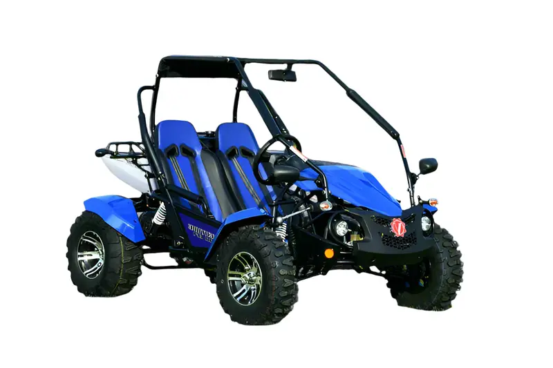 Venture 200Efi Go Kart 1