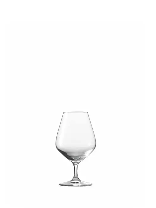 Verre À Cognac Bar Special - Schott Zwiesel 1