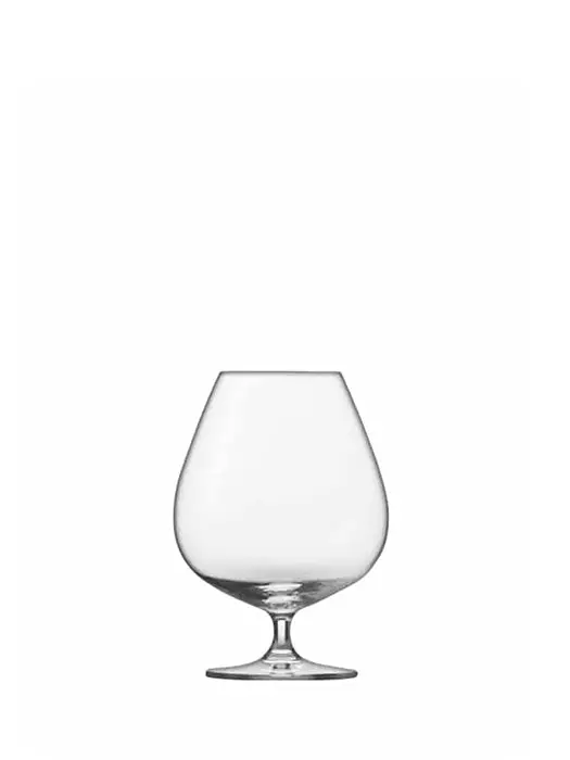 Verre À Cognac Xxl- Schott Zwiesel 1